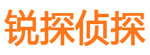 伍家岗侦探公司